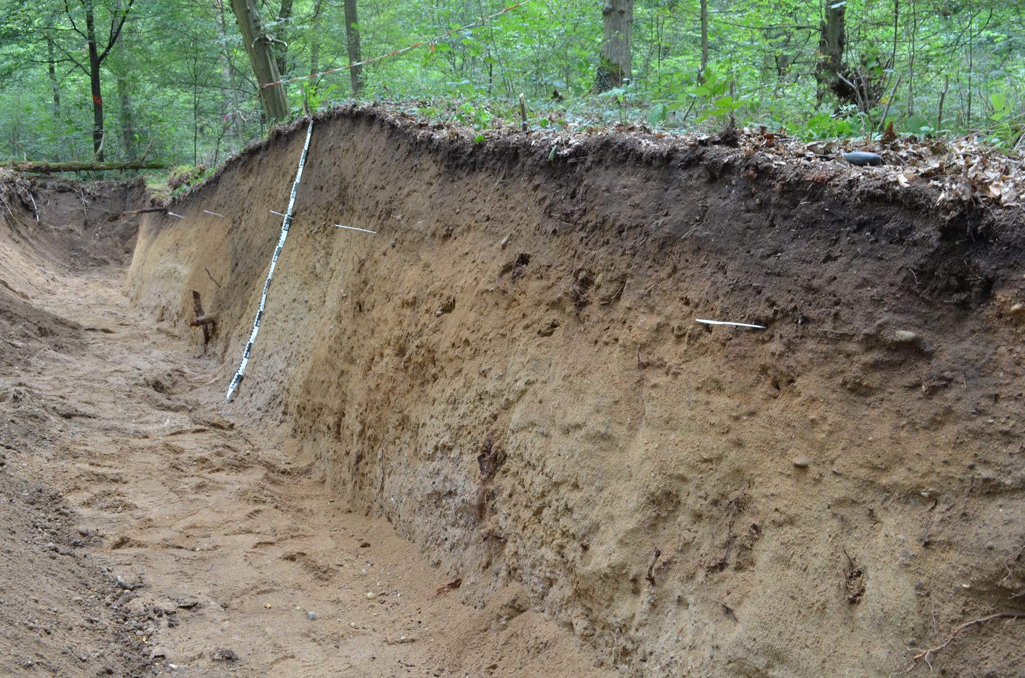Architektonischer Innenraum mit geologischem Profil
